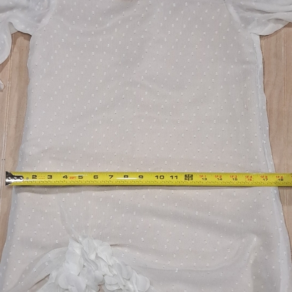 Chiffon Satin Formal Embellished Detail Delicate Sheer Shift Party Mini Dress - Picture 10 of 10